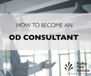 How to be an OD consultant photo