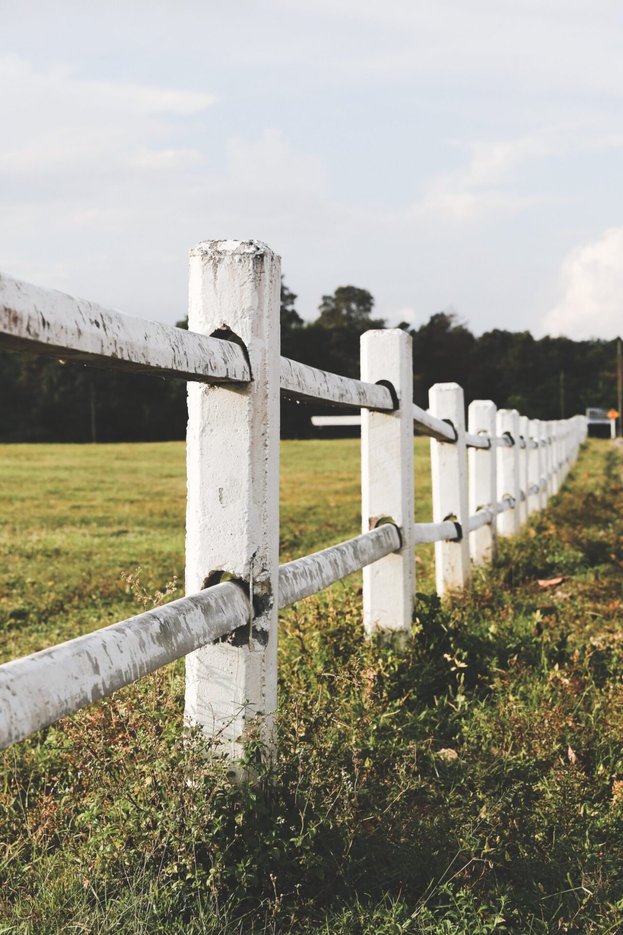 Photo of white picket fence representing boundaries