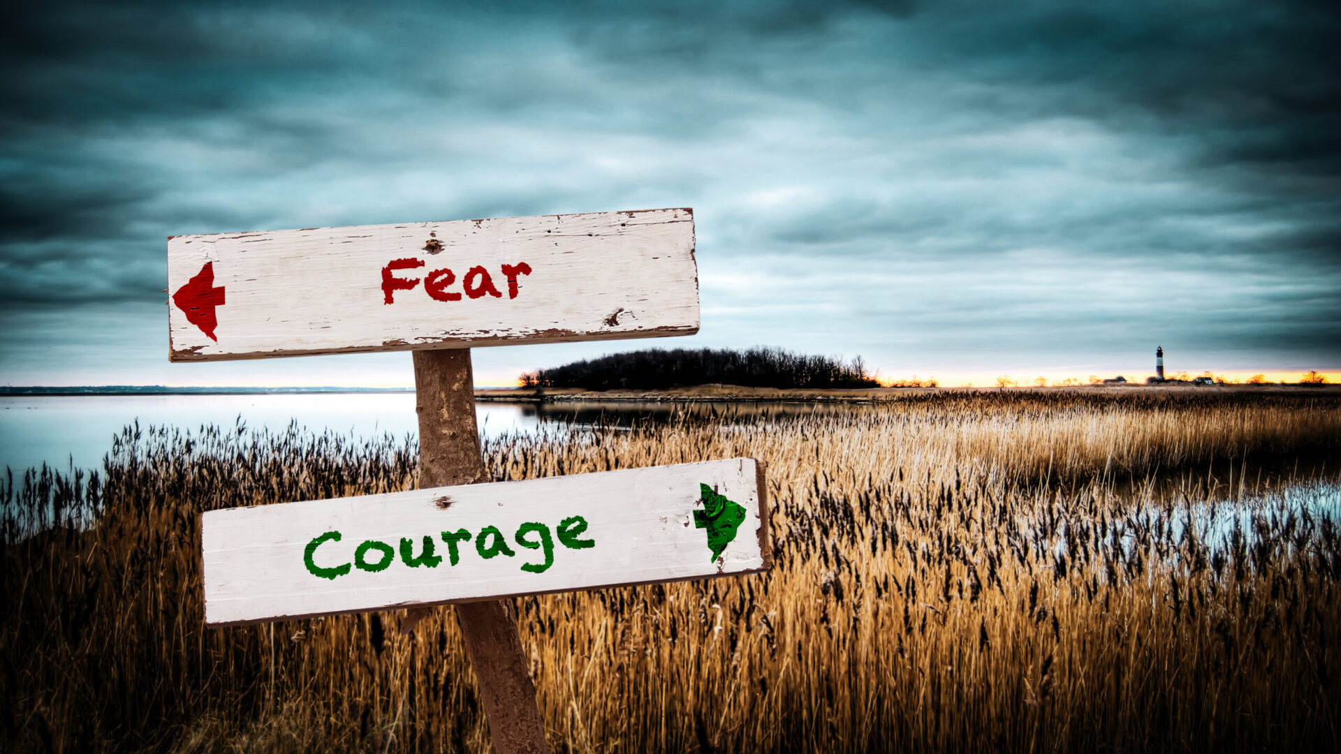 Photo of a signpost, with one arrow pointing to fear and the other to courage