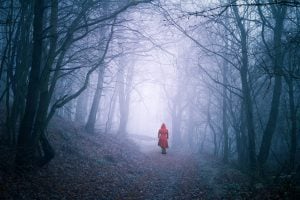 Photo of a girl in red walking alone in the woods