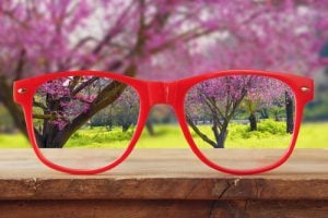 Photo of a pair of reading glasses with a view of blossom tress behind