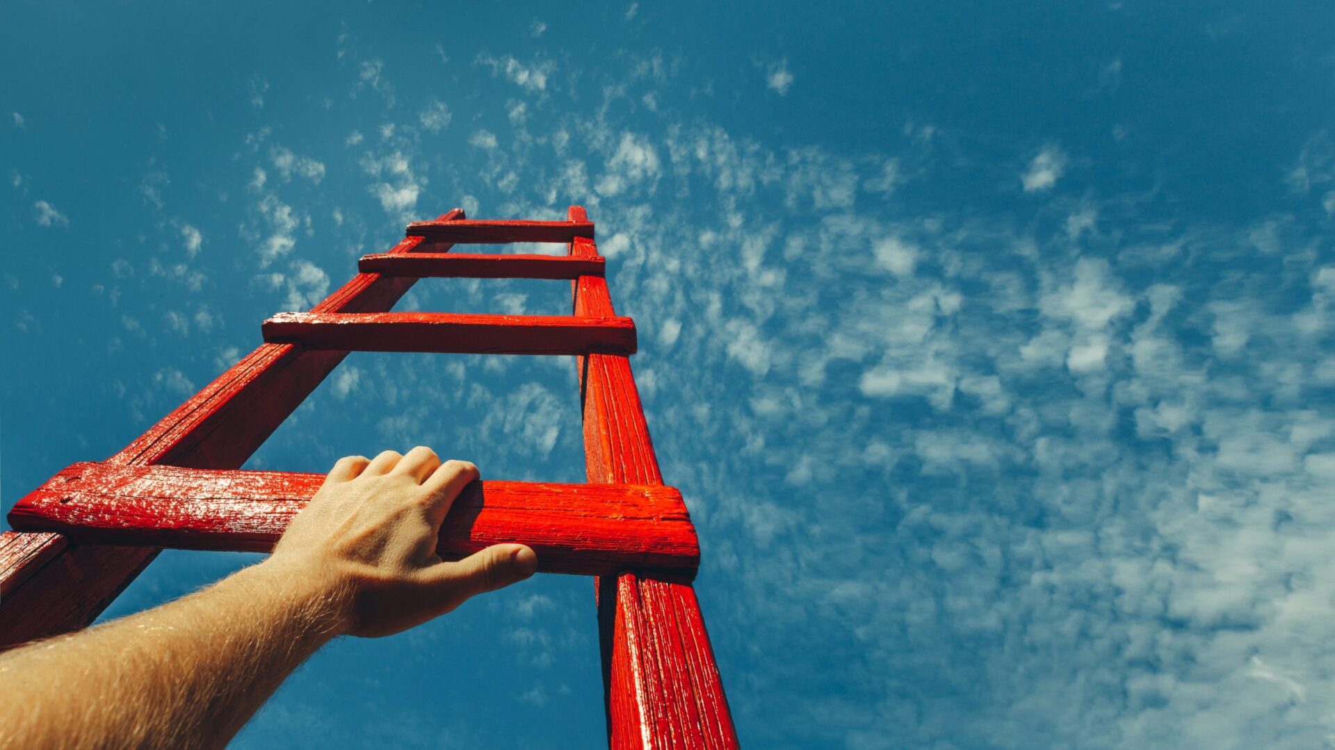 Photo of a hand holding a large red ladder leading up towards the sky