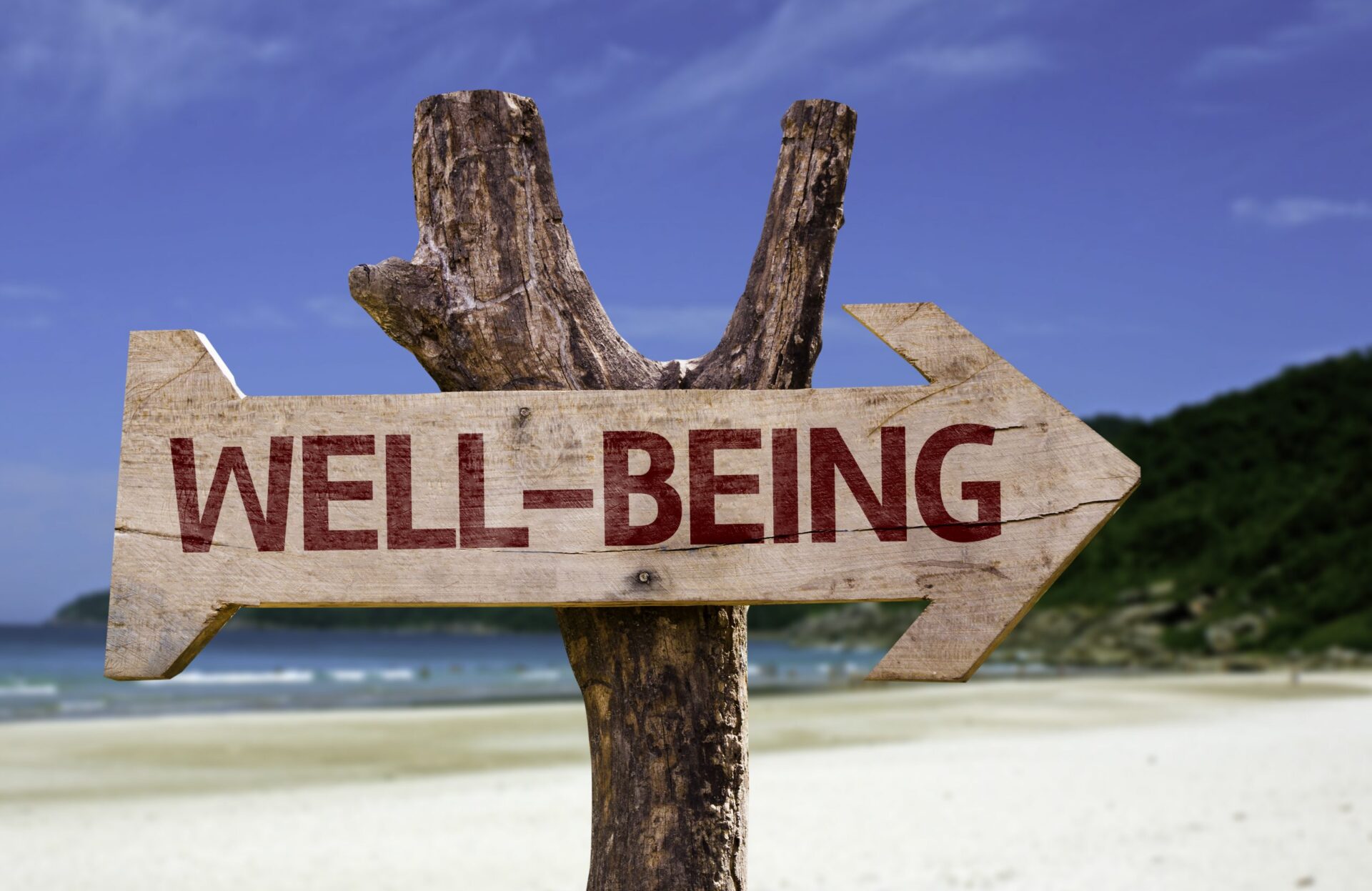 Photo of a sign post saying 'well being'