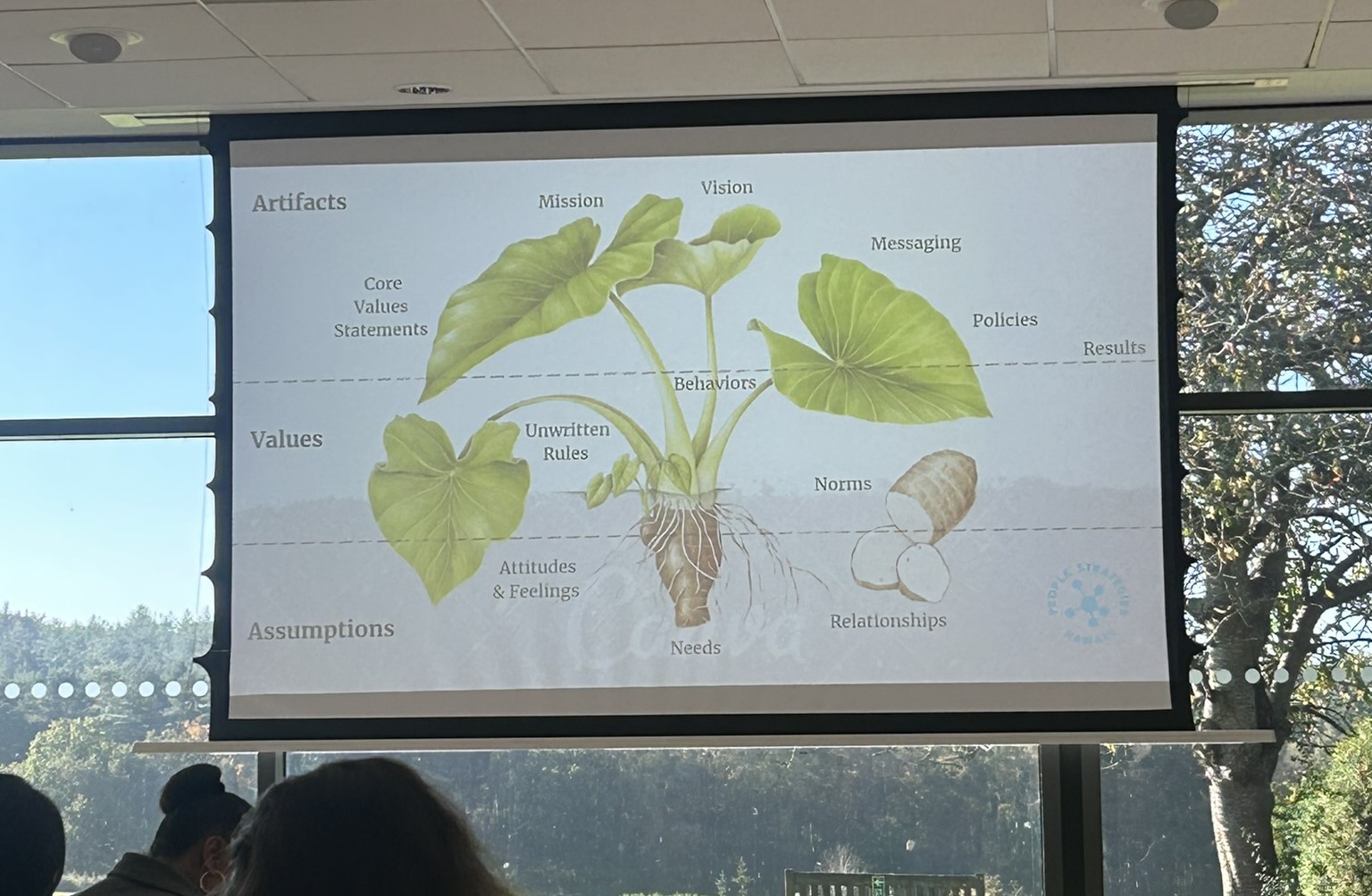 Taro Root diagram