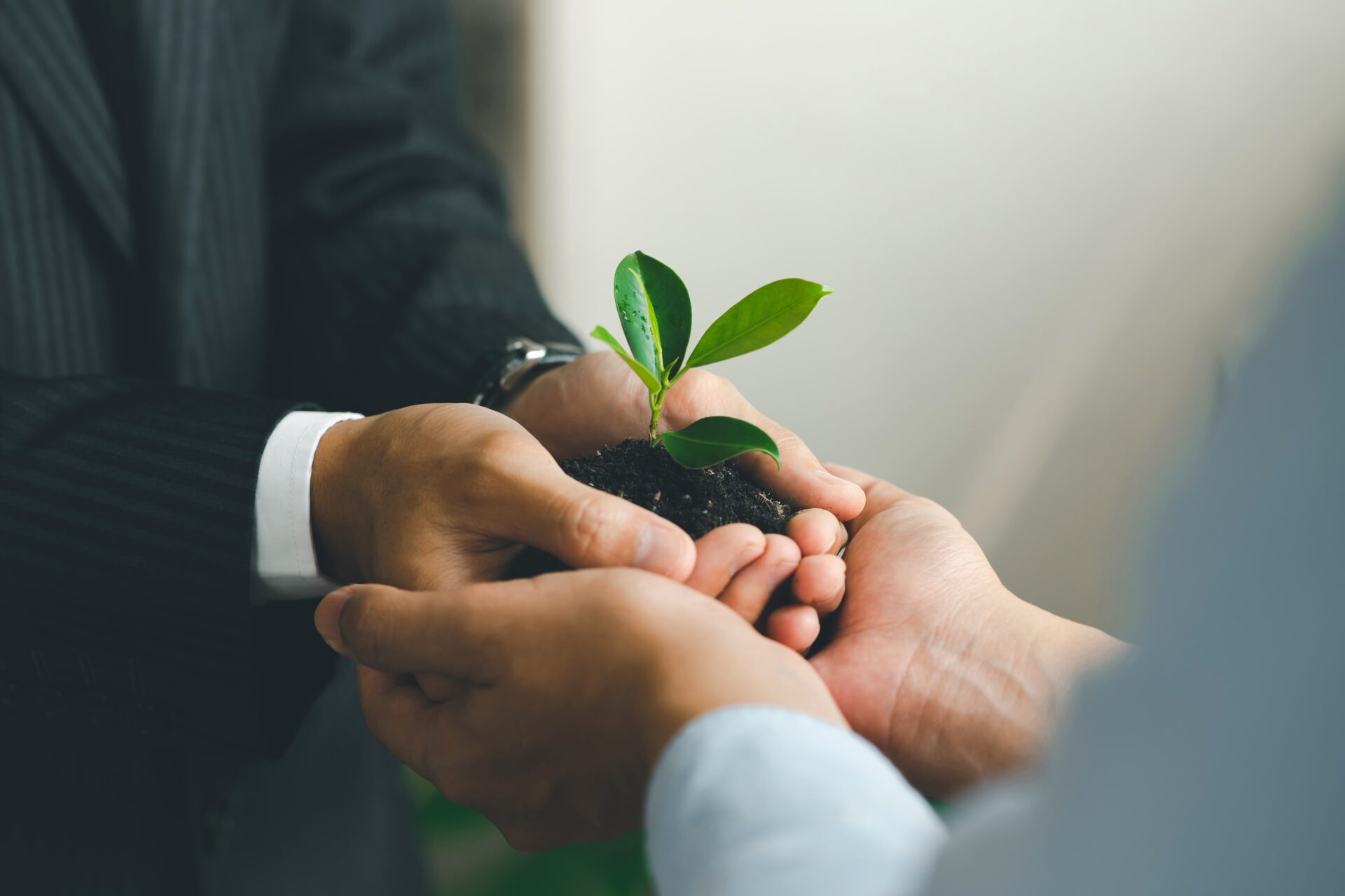 Two business people holding and nurturing a growing plant together